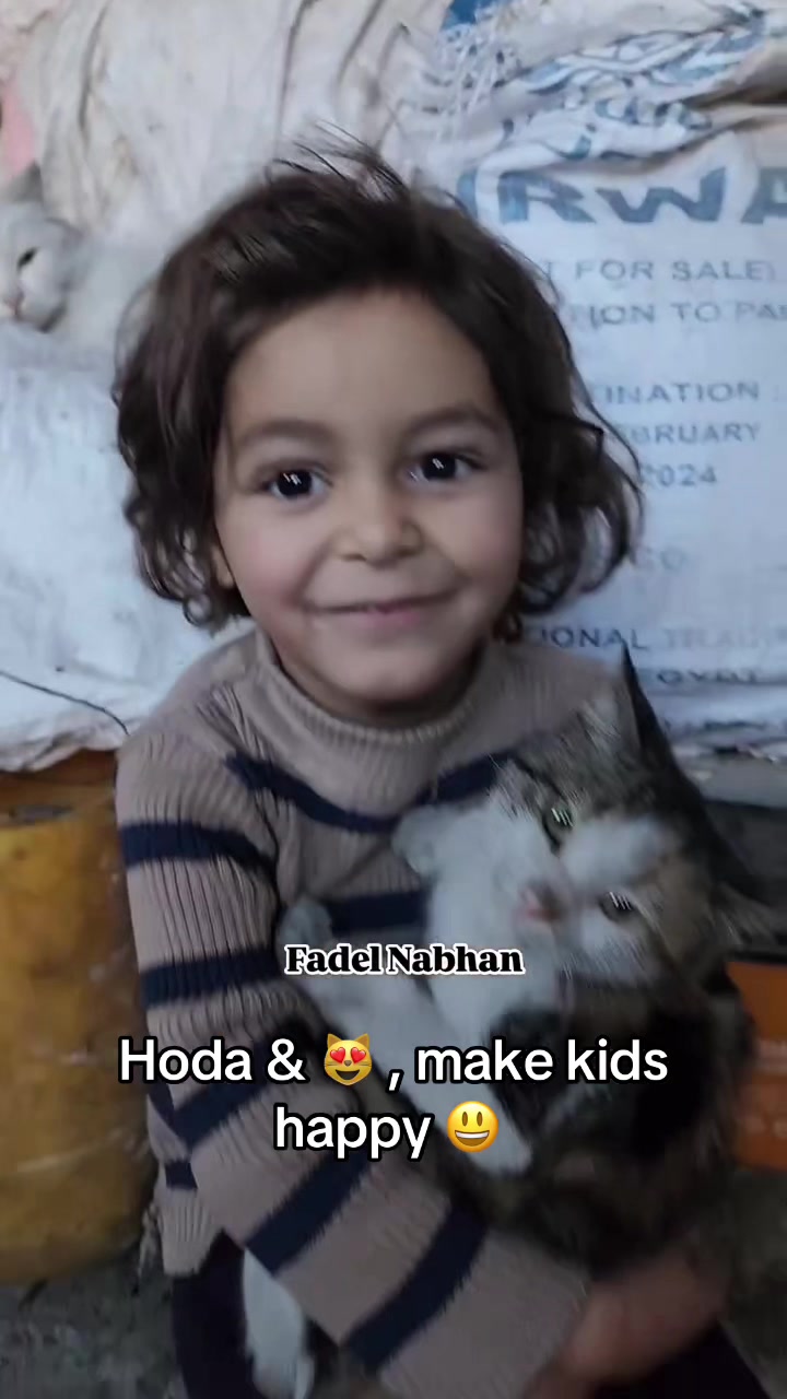 @Gaza Animal Rescue