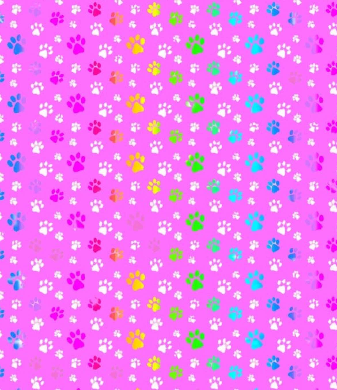 @🌈🦄 ղօαհ ժҽթαlოα 🎩🎉