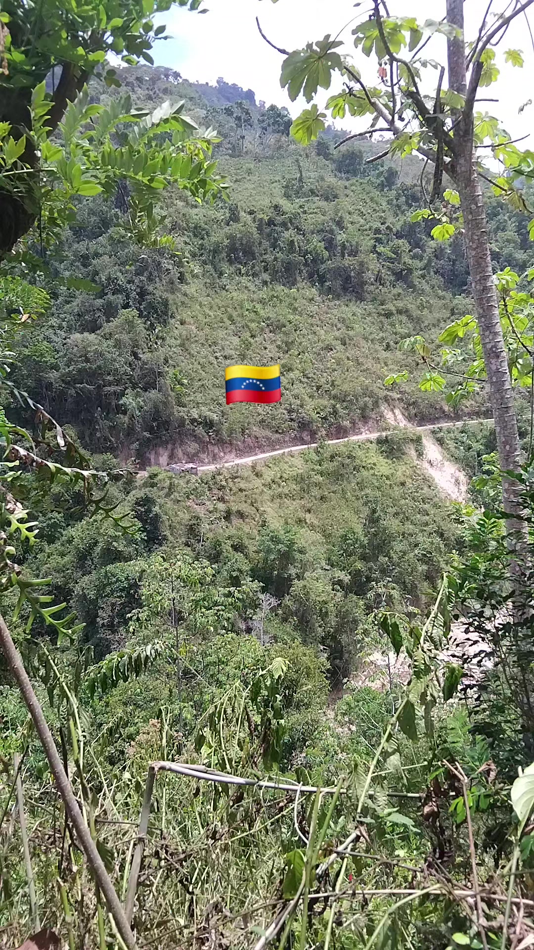 @Dulce🇻🇪🇻🇪