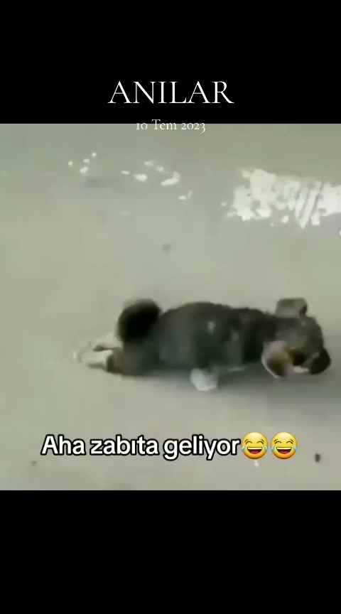 @yılmaz Çetinkaya