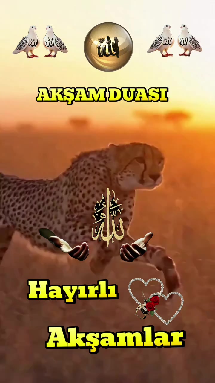 @aynur Kocakaya 280.🤲