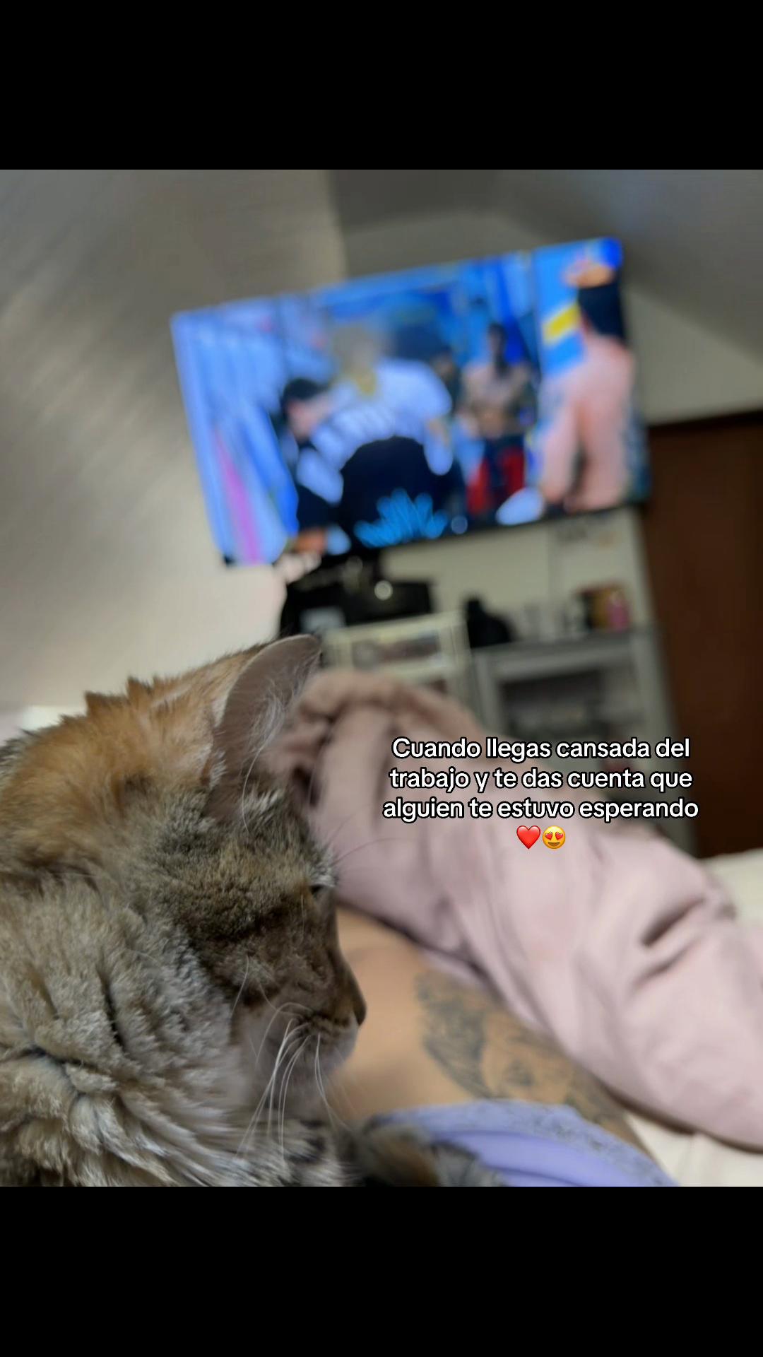 @L&uuml;z Pro