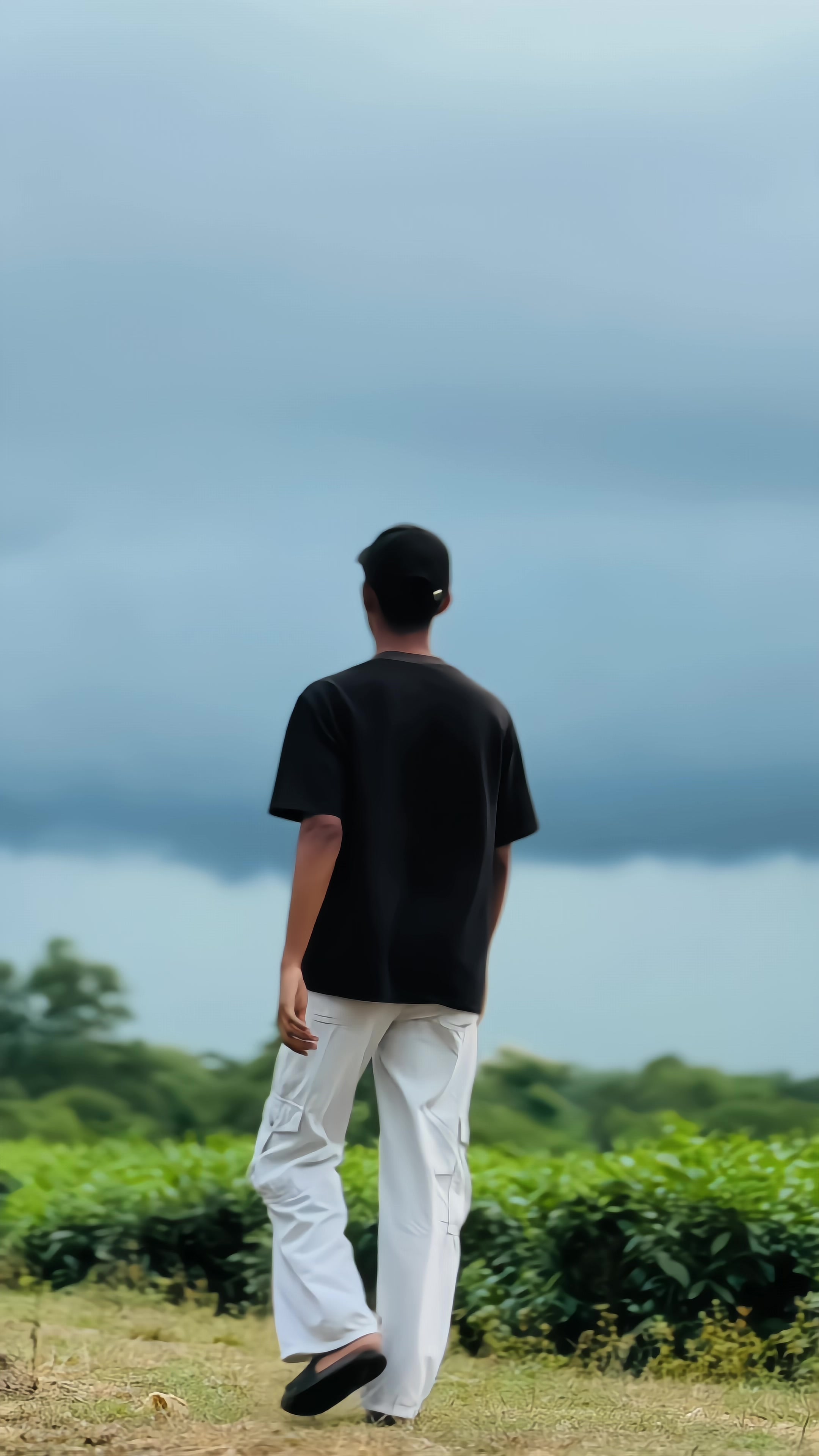 @T A N I M
