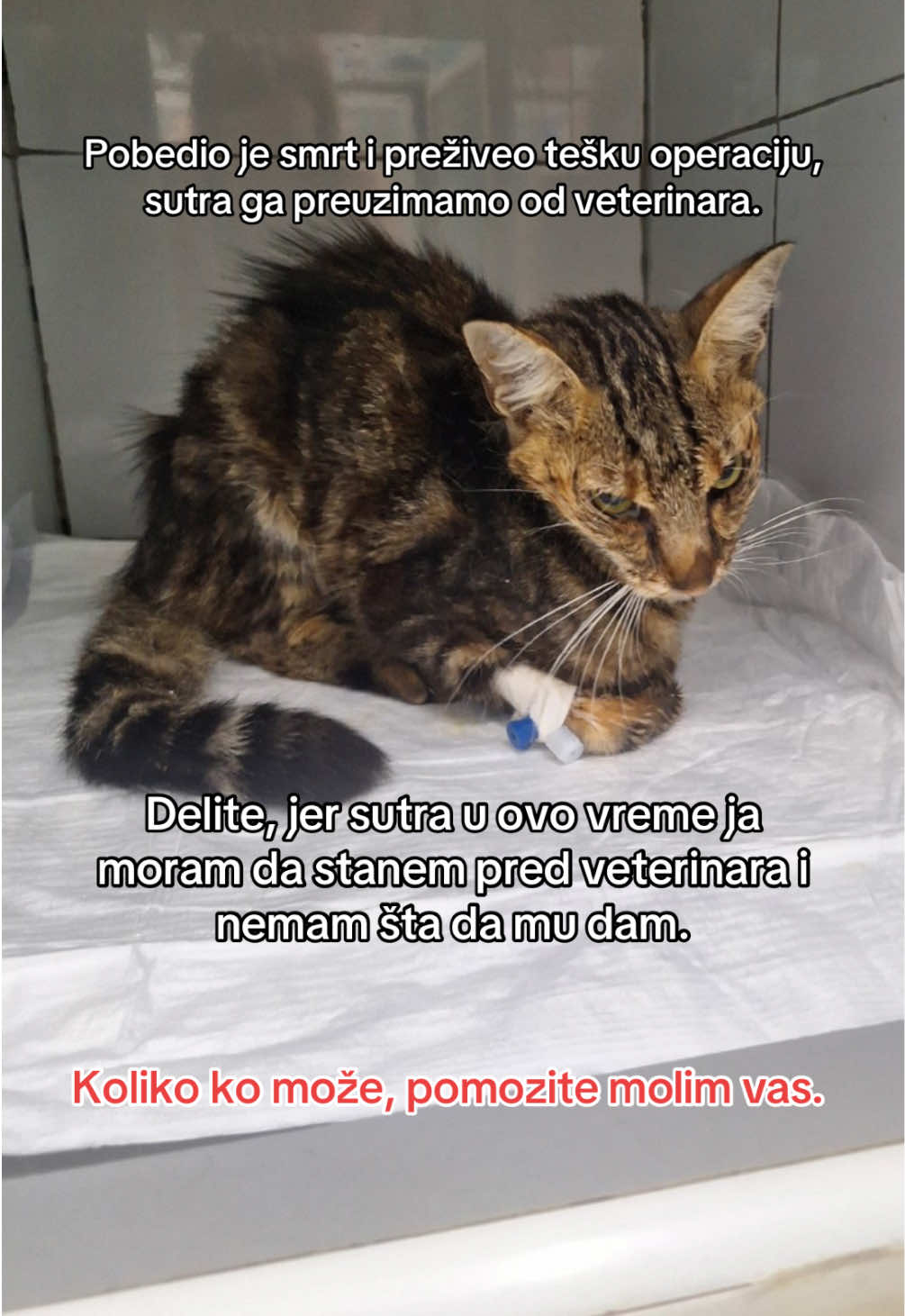 @cosanostrapurr