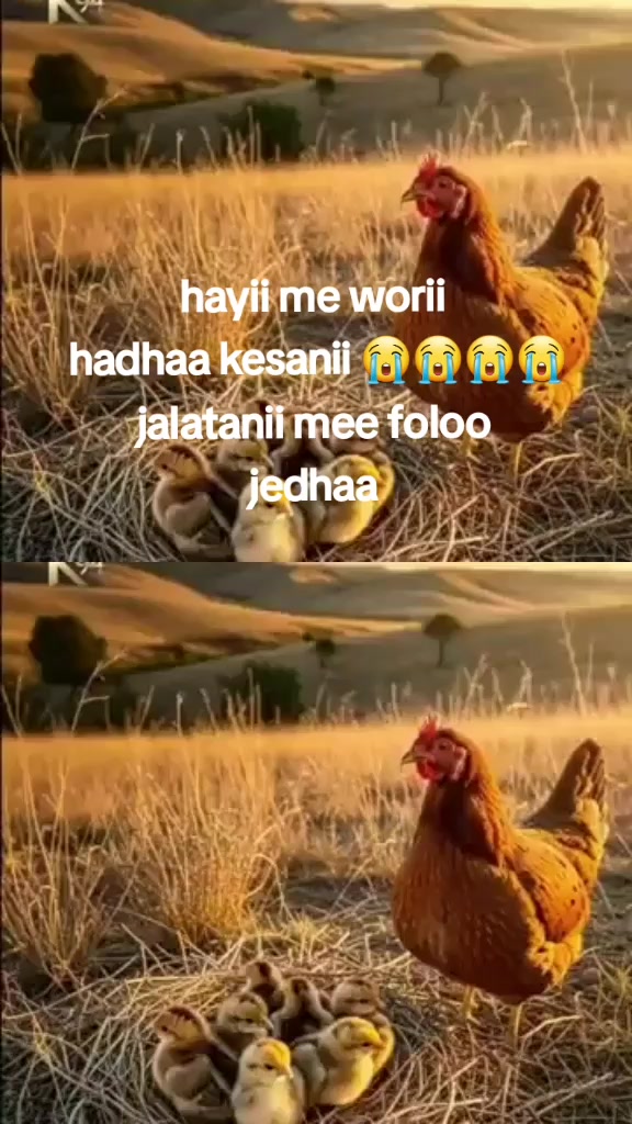 @🎧Æbdiiyëê🤬Shashe 🦅