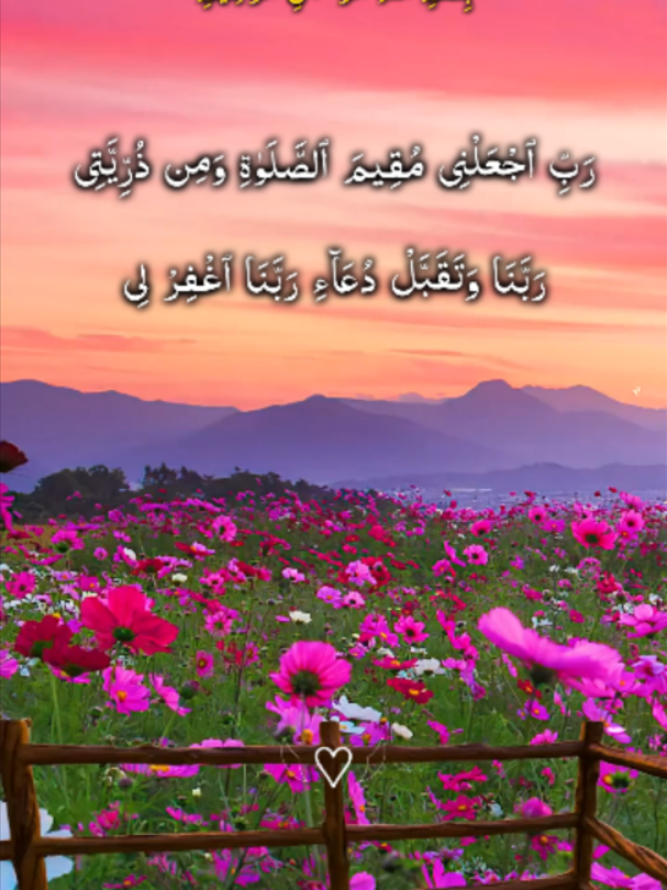 @❣️ Words of Allah ❣️