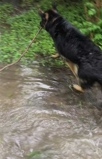 @MERCURY_GSD_24_7
