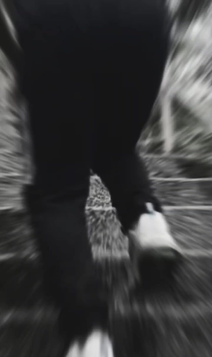@🇪🇨 JEIKO 🟩🟨🟥🐴🤠🥊