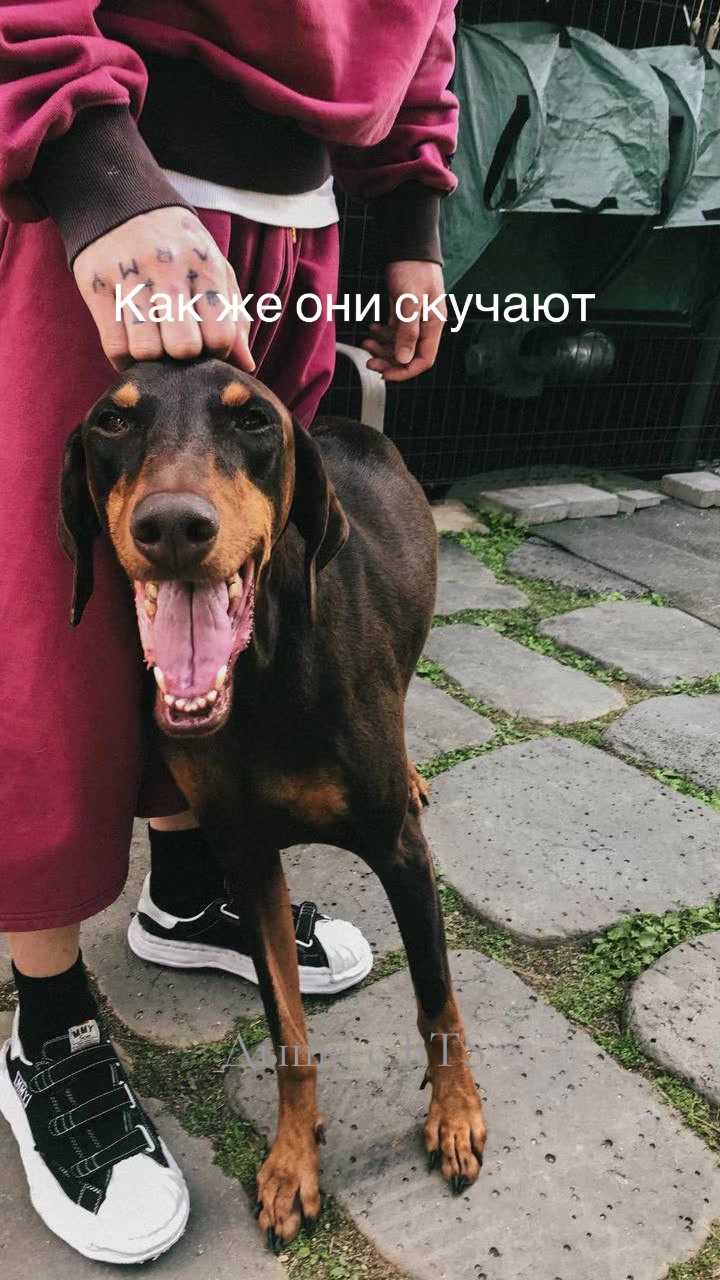 @Дыши с BTS