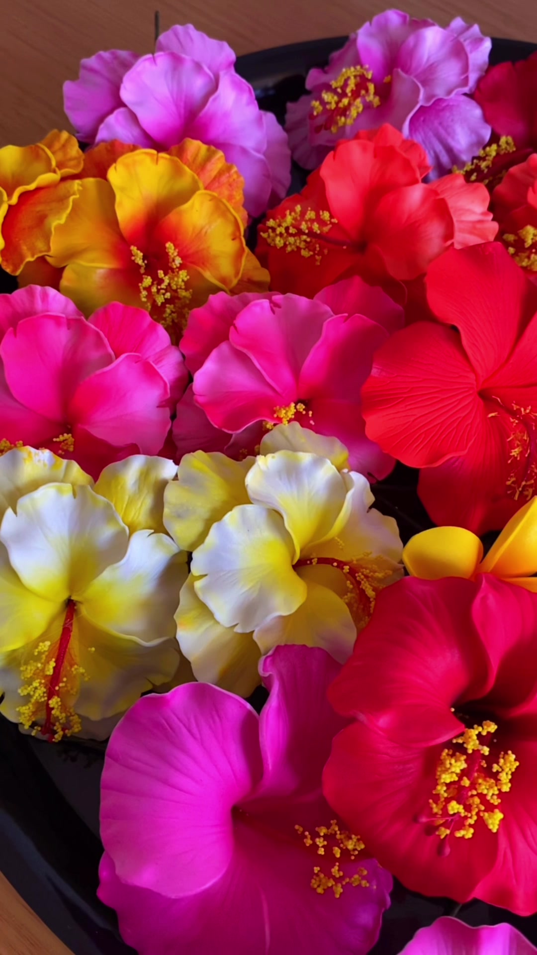 @Island Aesthetica 🌺