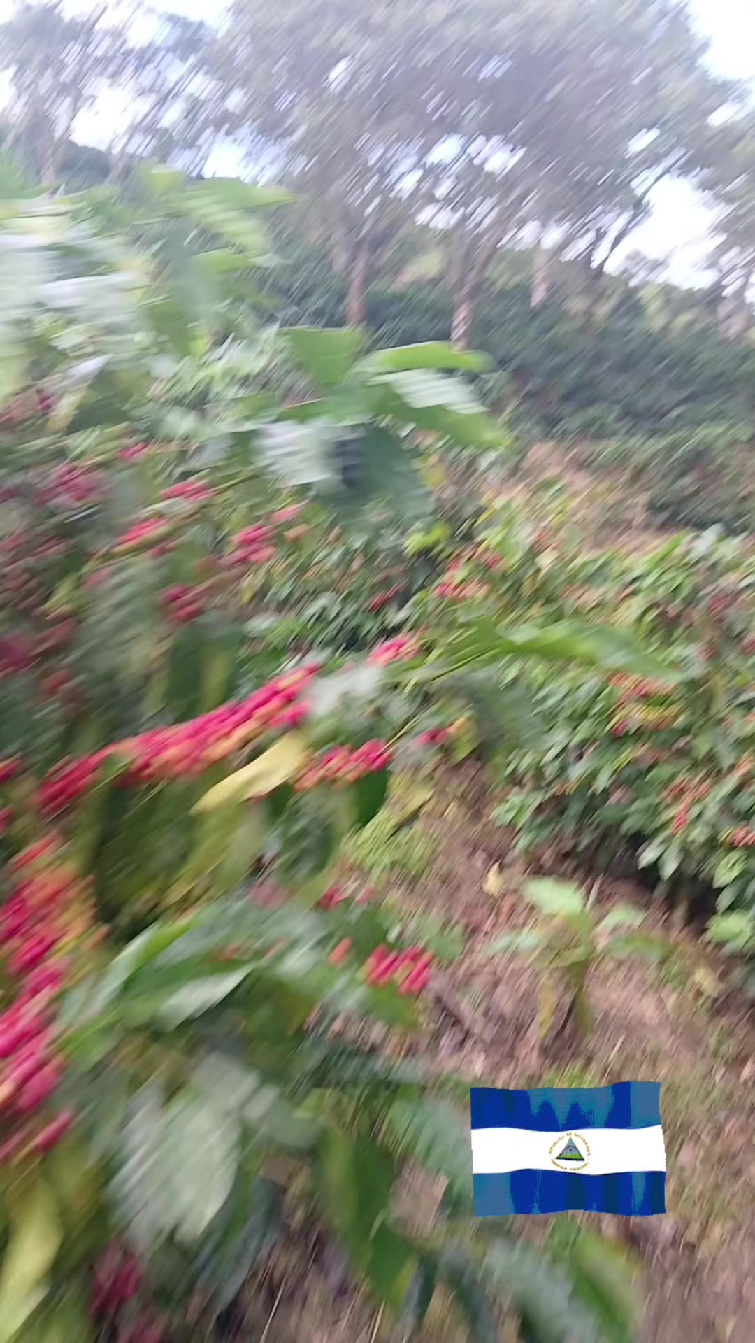 @Nicaragua