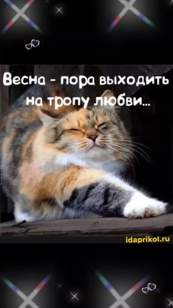 @Елена