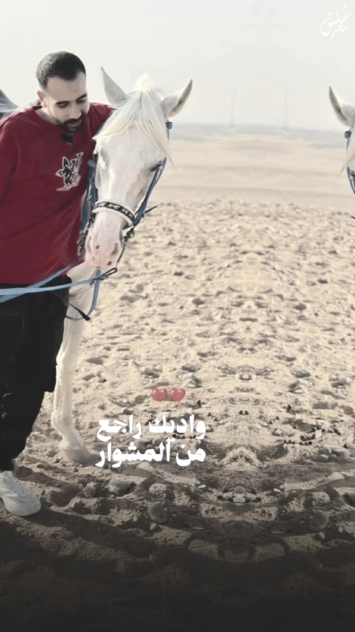 @Eslam Mohmed