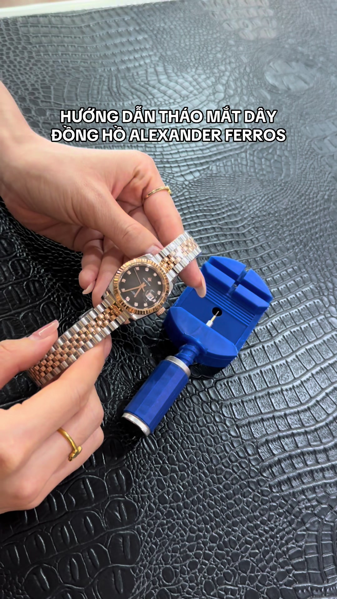 @Alexander Ferros Việt Nam