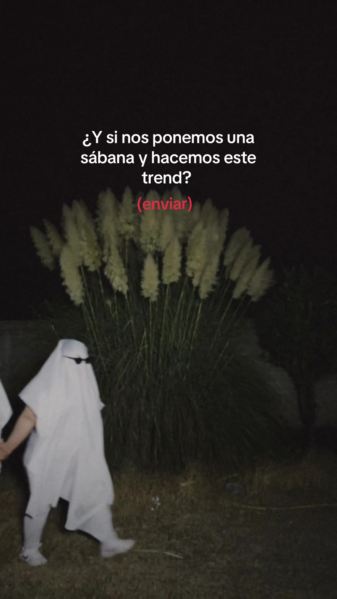 @Fatima 🌸