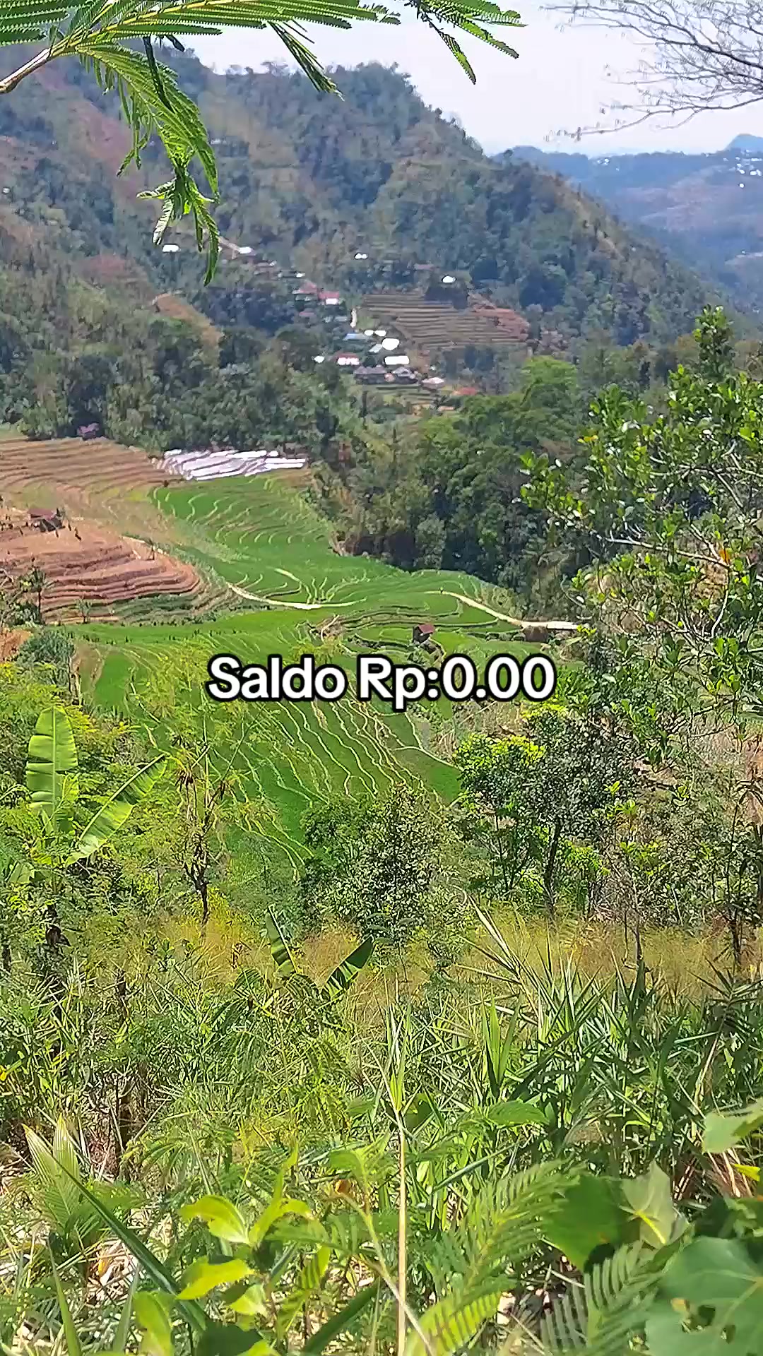 @Sido Mulyo
