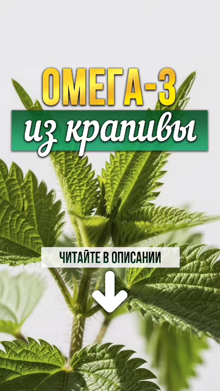 @ЗОЖнавигатор