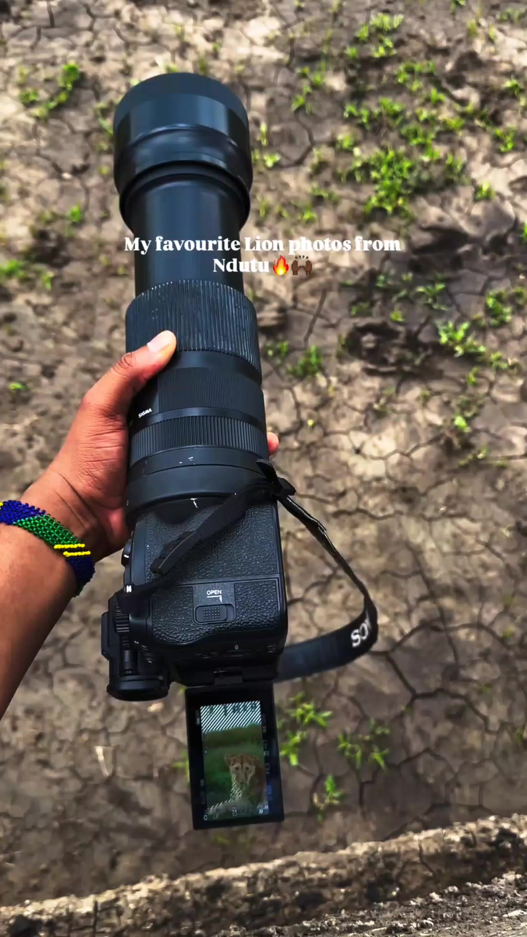 @David_Nature_Africa
