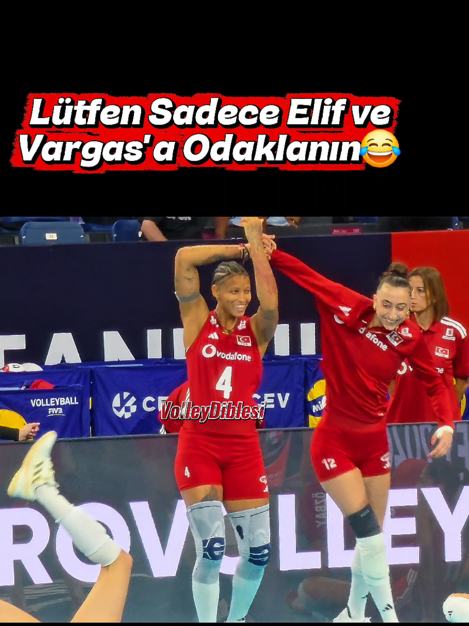 @VolleyDiblesi
