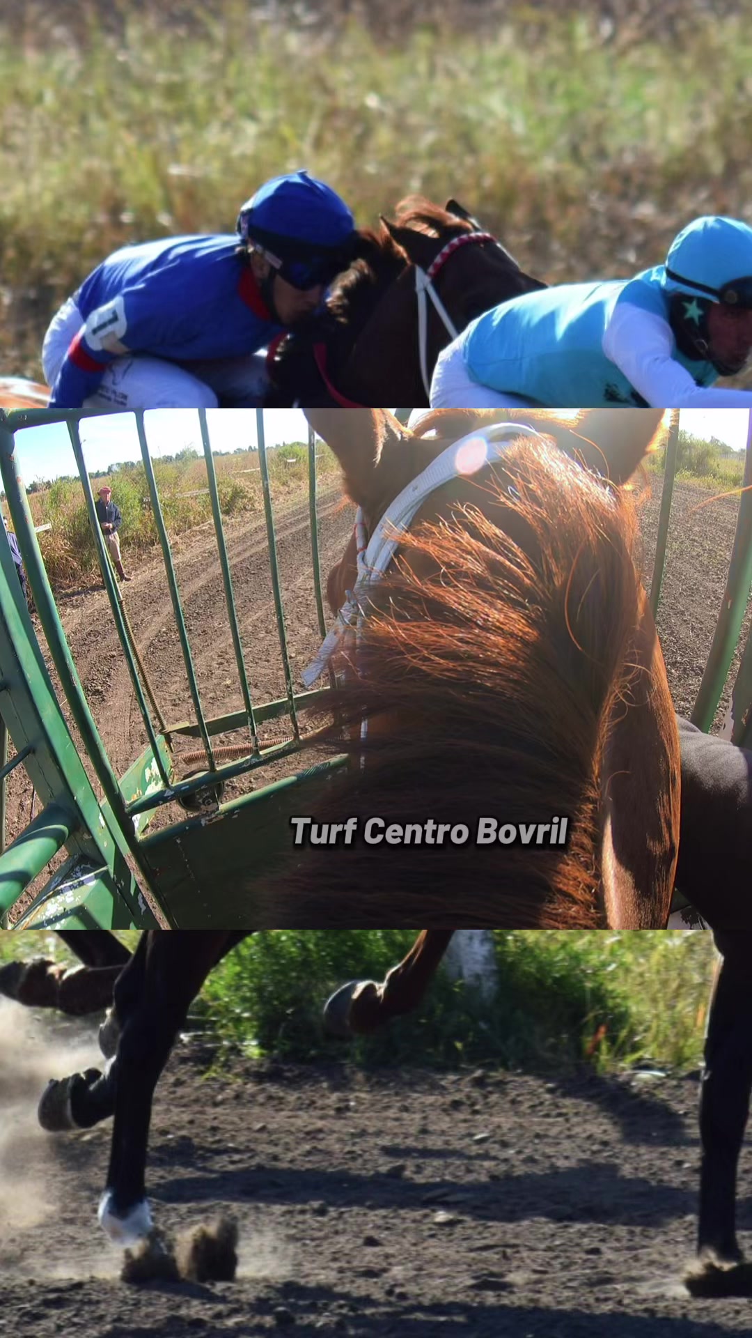 @TURF CENTRO BOVRIL