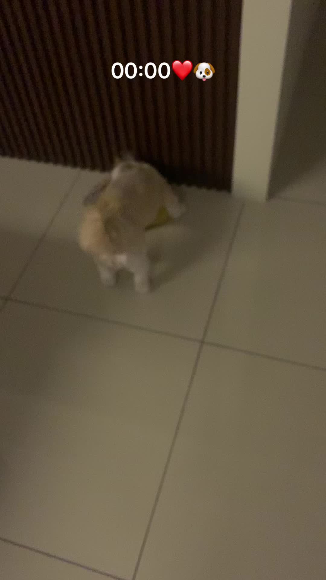 @@డి ✨