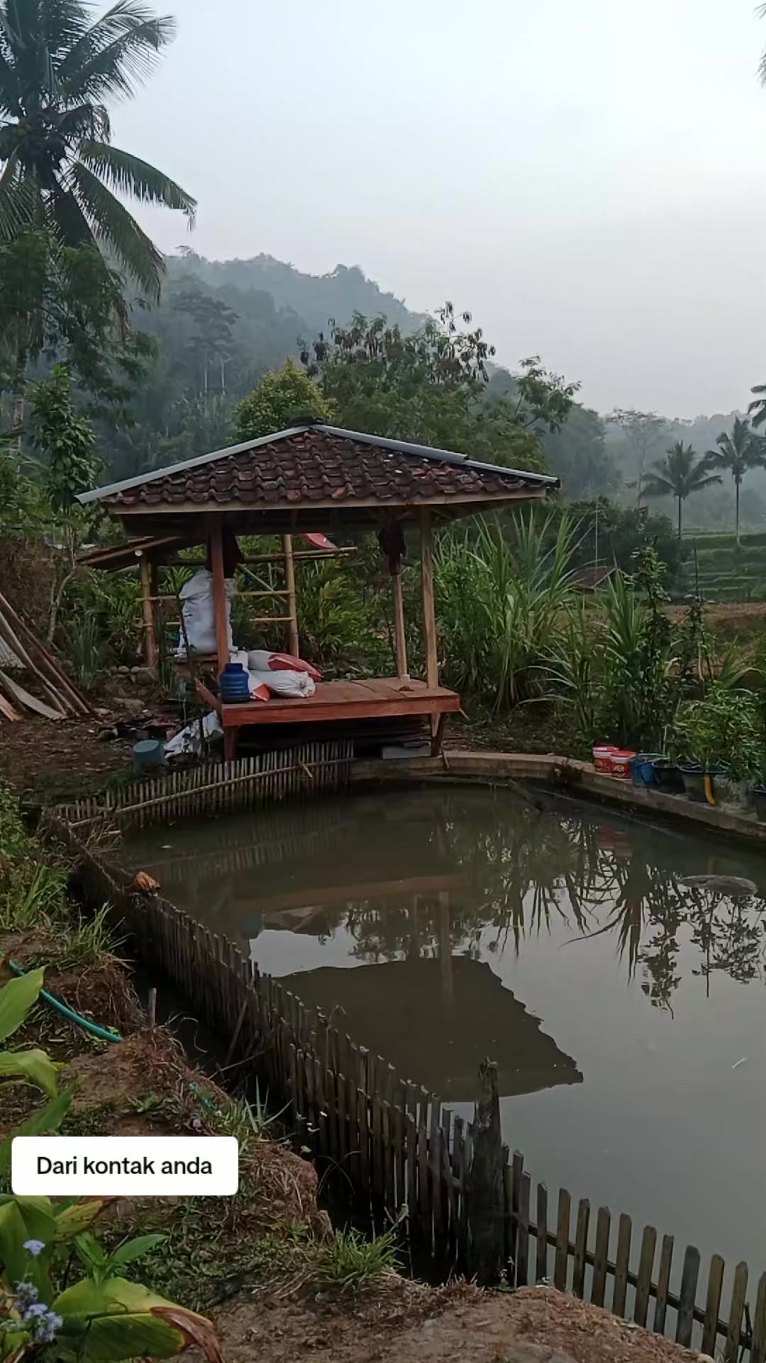 @Dari kontak anda