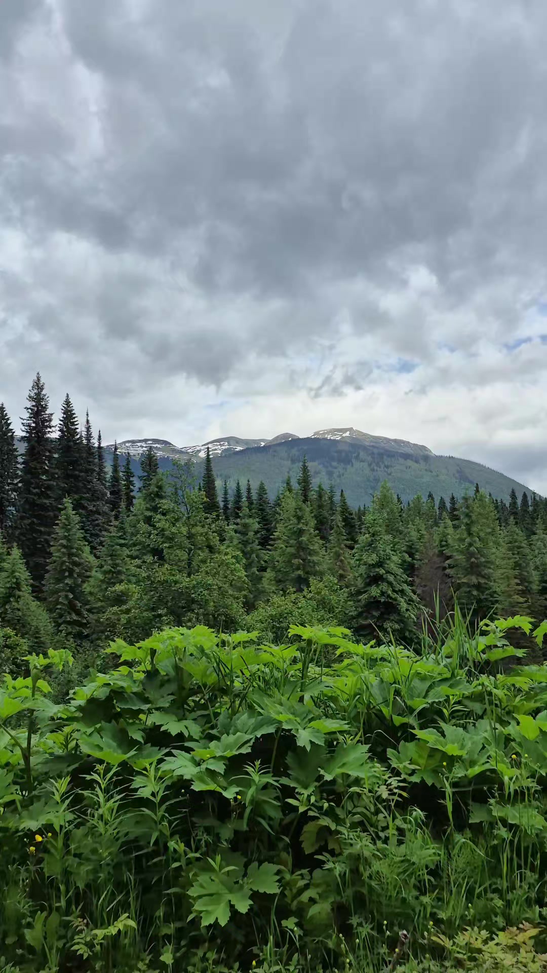@Mooneyes199 🇨🇦