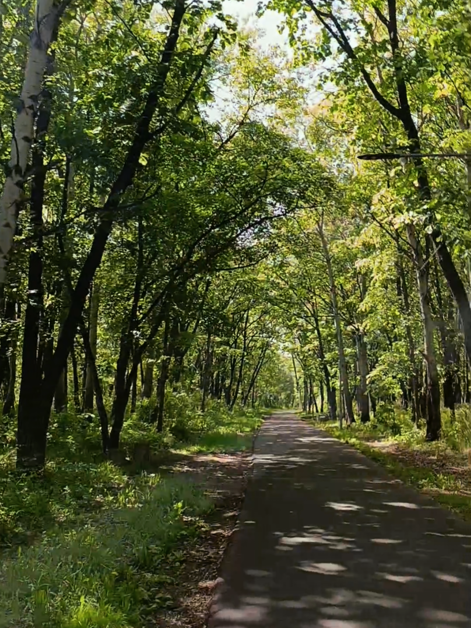 @Ольга