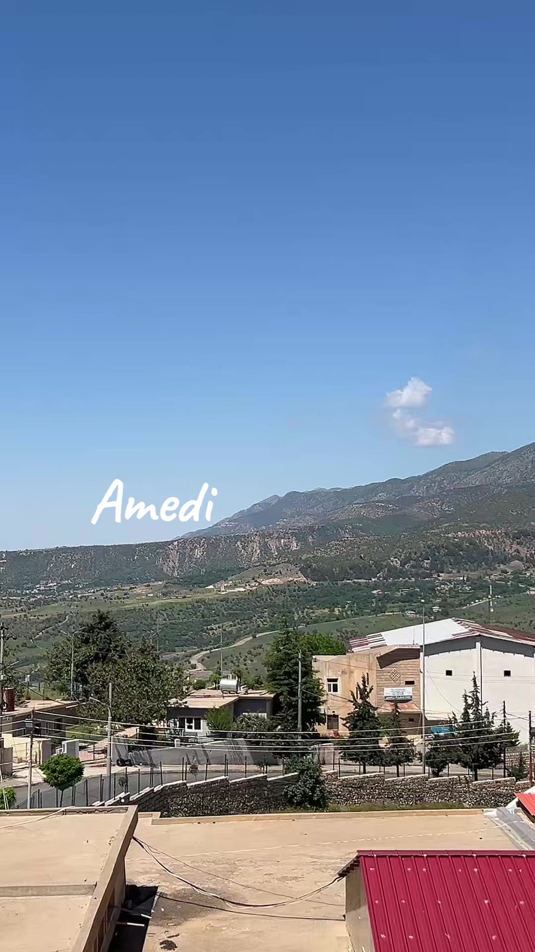 @Rameen🦅