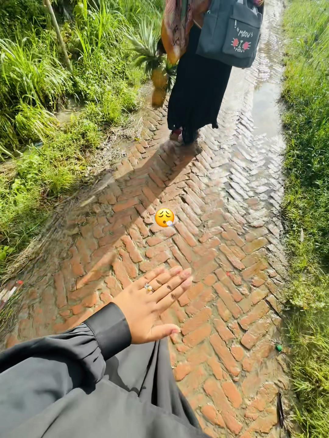 @🕊️