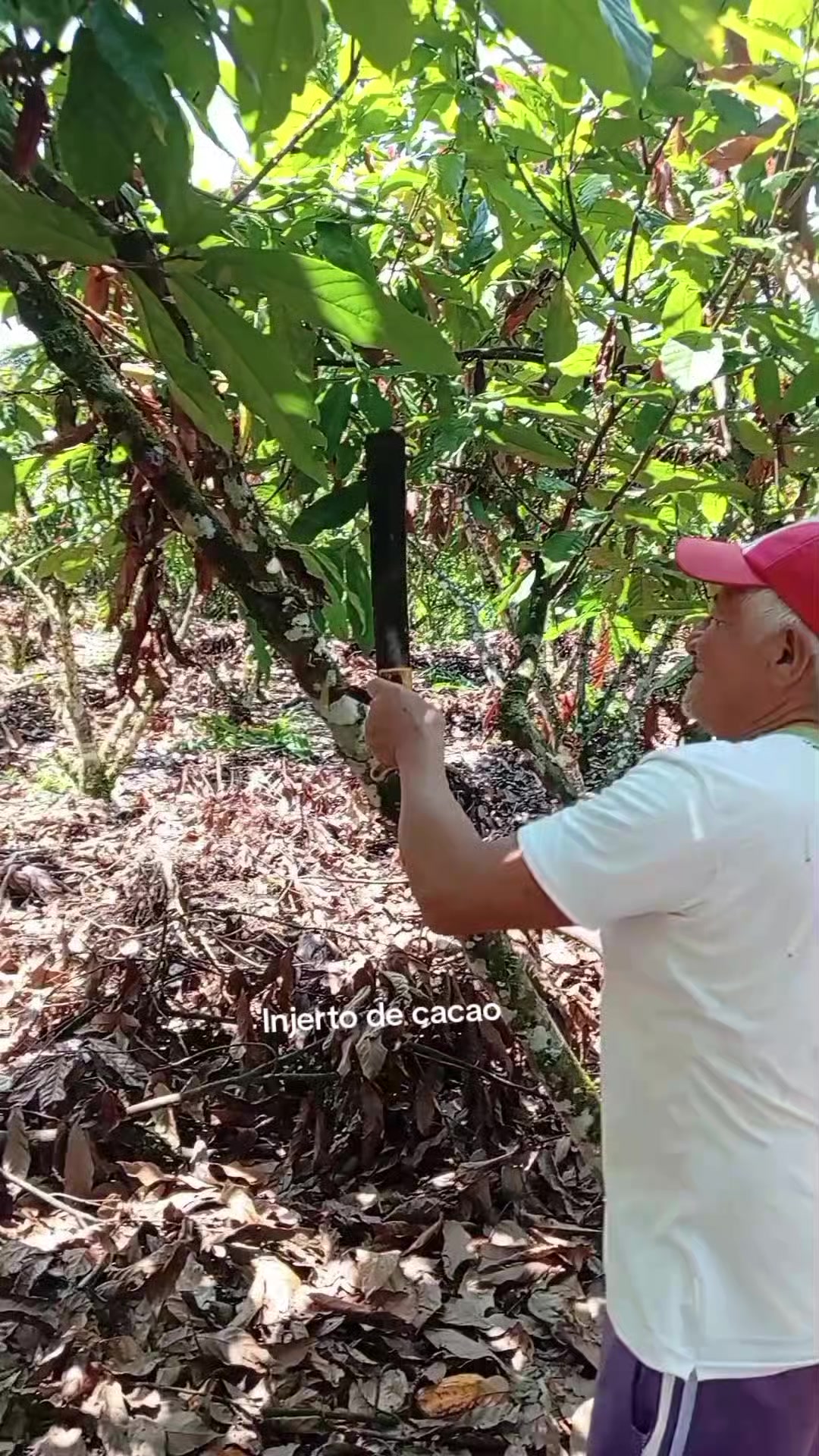 @Jairo desde el campo.