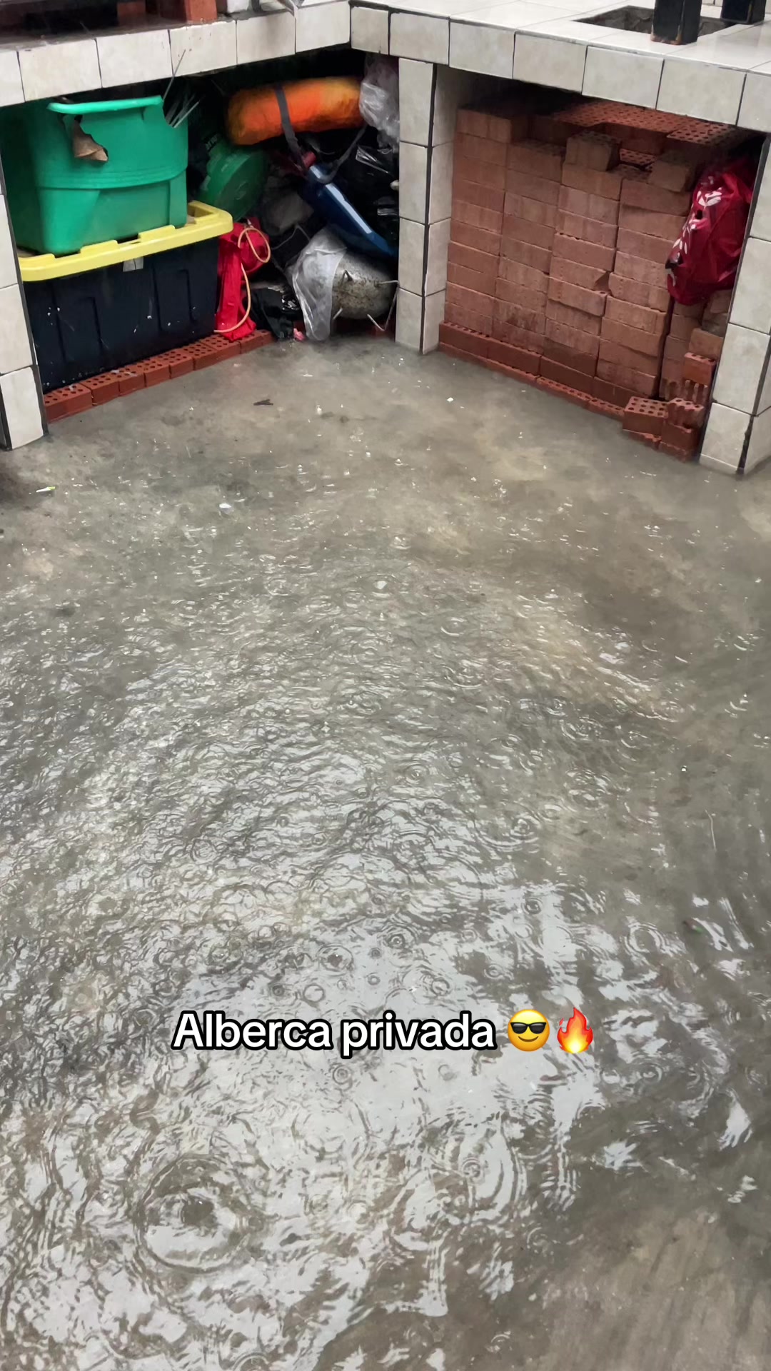 @Fekka_oficial 💯