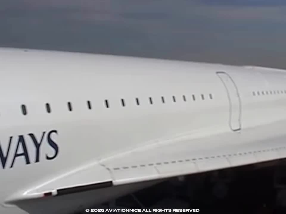 @𝘼𝙑𝙄𝘼𝙏𝙄𝙊𝙉𝙉𝙄𝘾𝙀&trade;