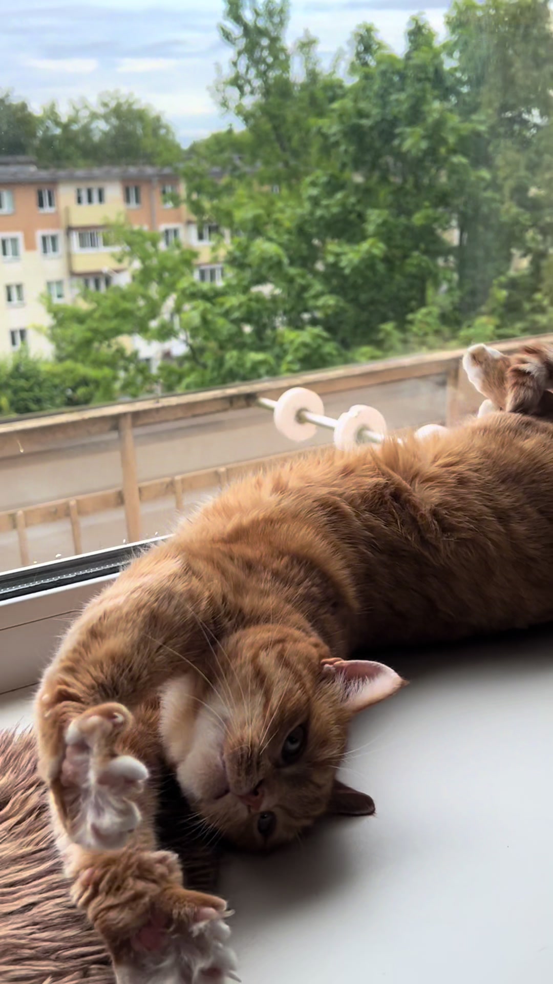 @Оля & Co🐈⬛🐈