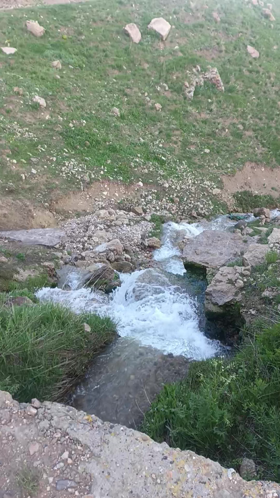 @özgür Yıldız