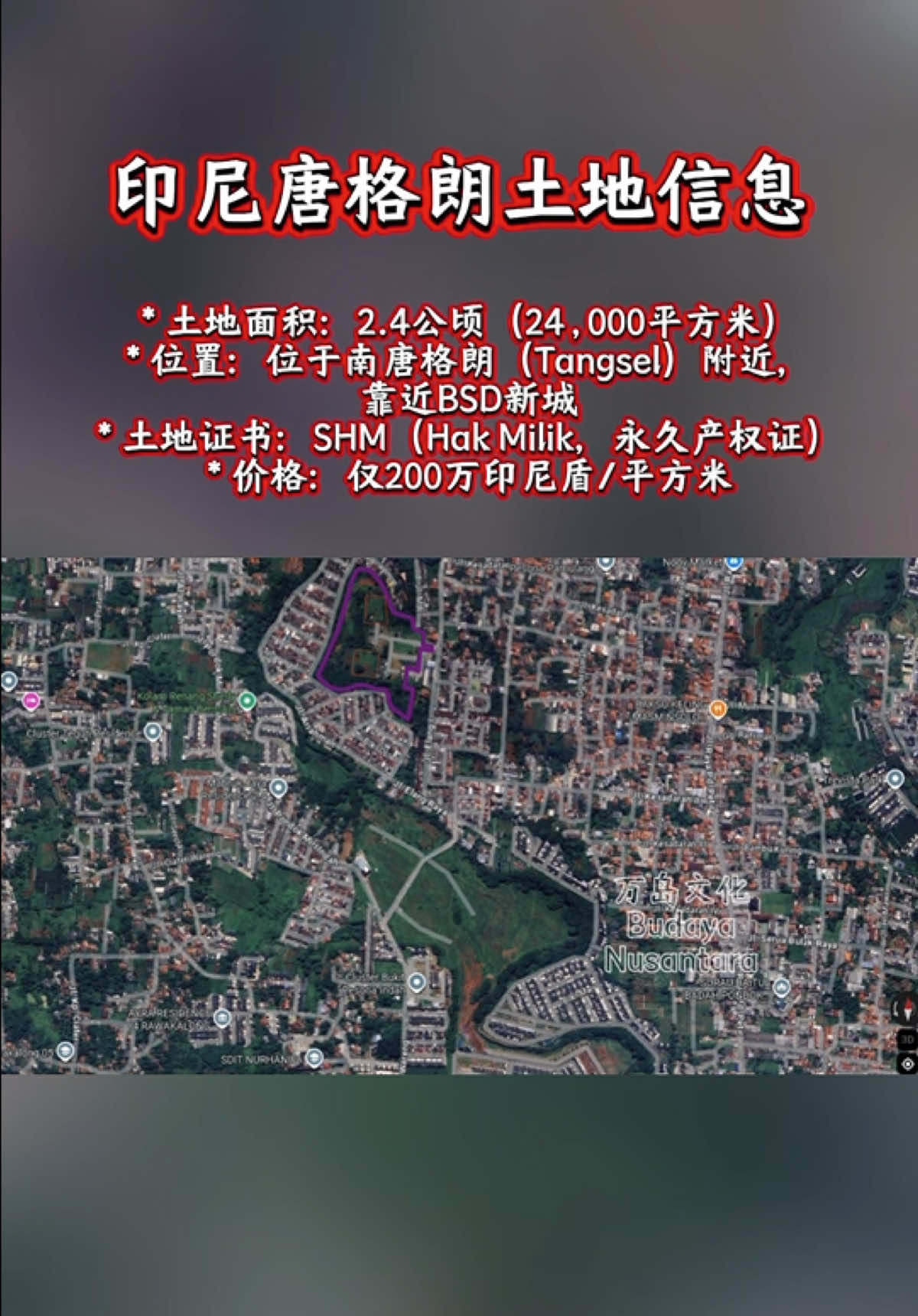 @万岛文化 BudayaNusantara