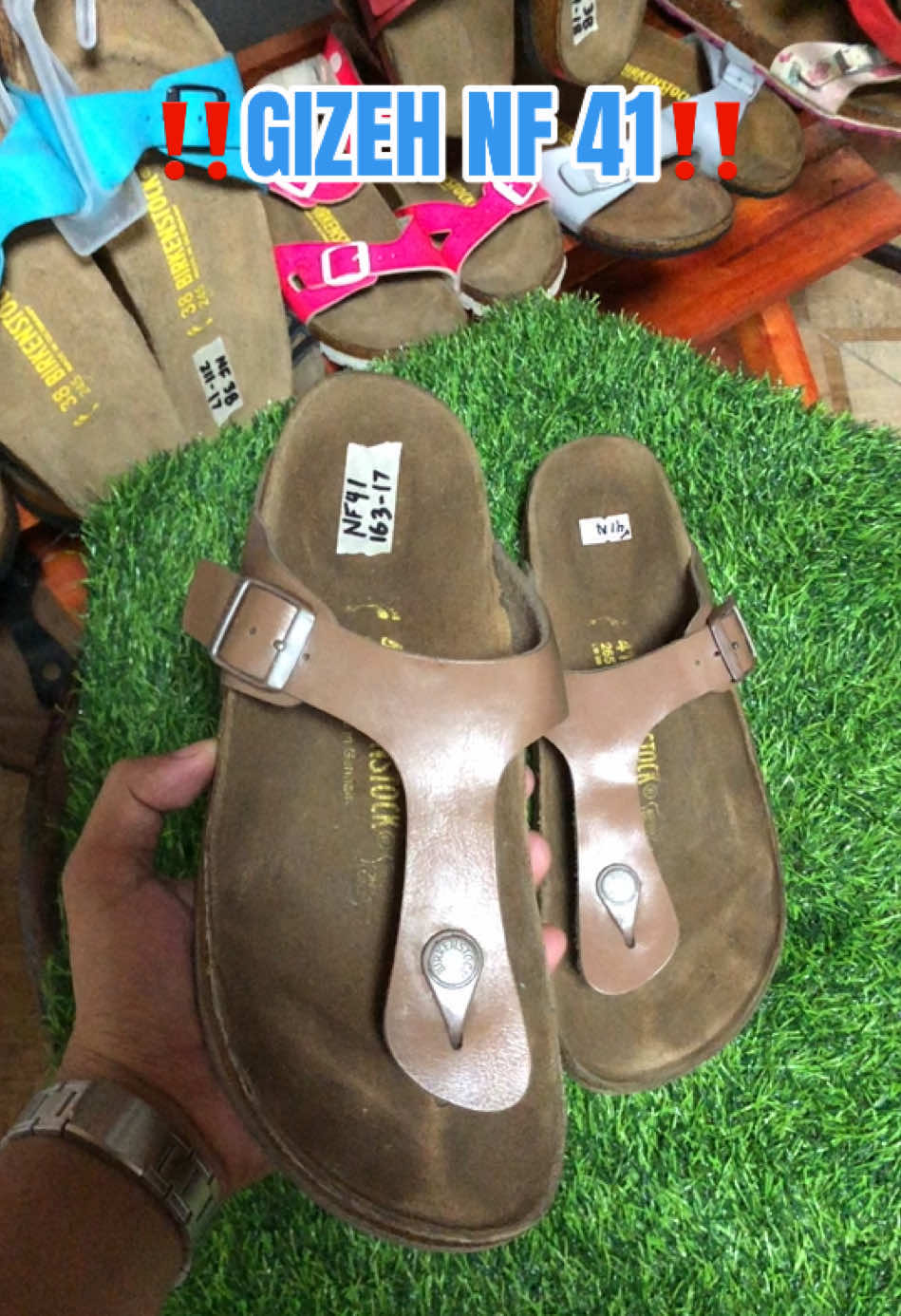 @DAILY BIRKS