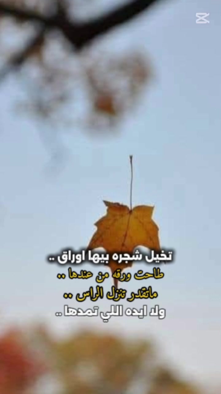 @سعيد نظير العزعزي