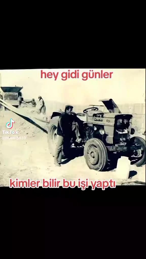 @81 D&uuml;zce