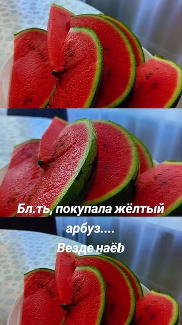 @111.MININA.111