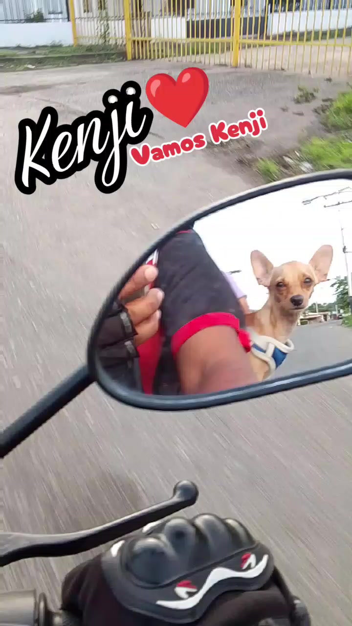 @🐶 Benji_Mya 🐾🐕
