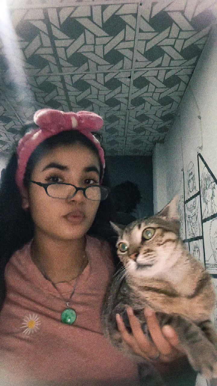 @🐼