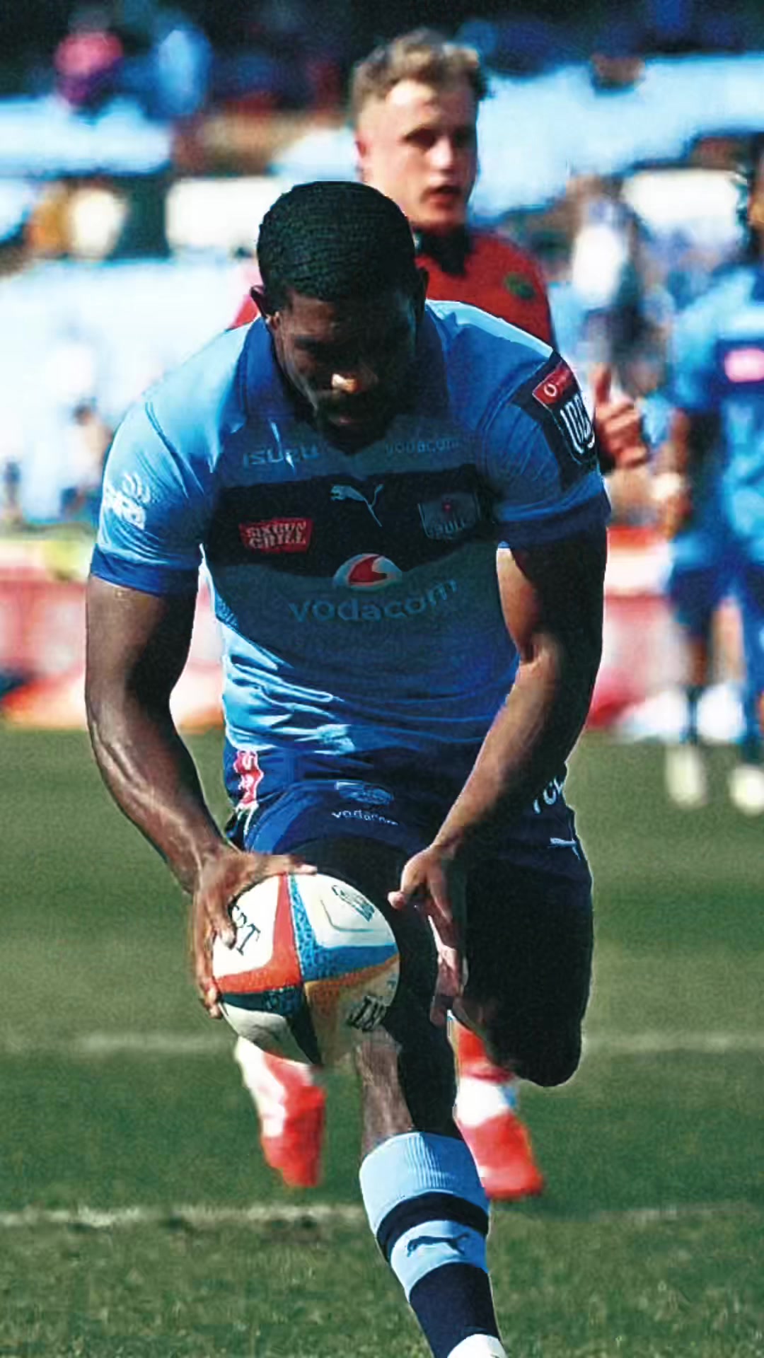 @Blue_Bulls_Official