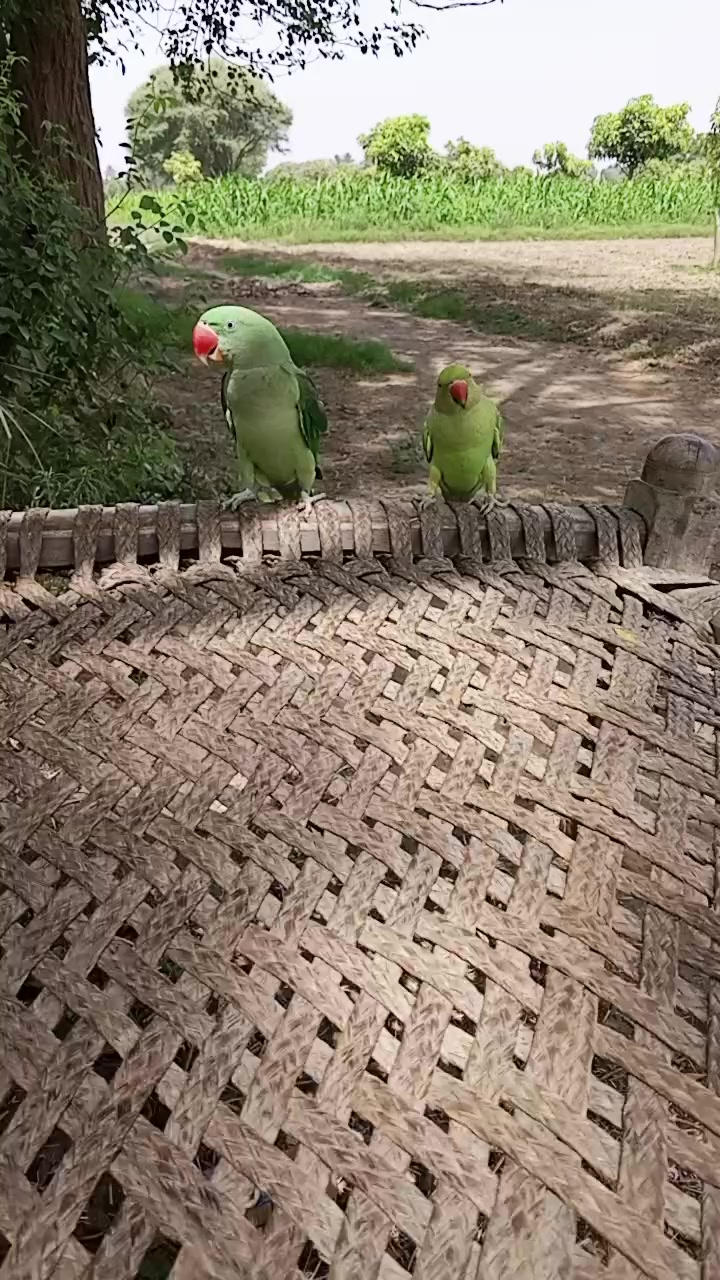 @جام نیاز