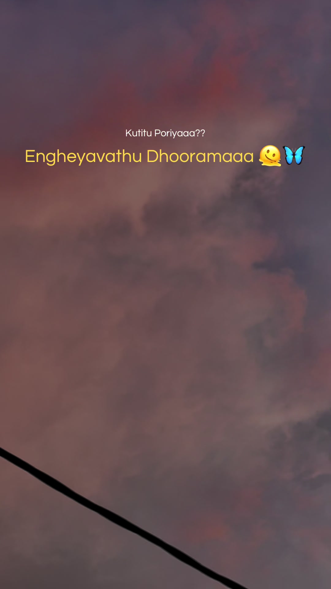 @ѕυηѕнιηє✨