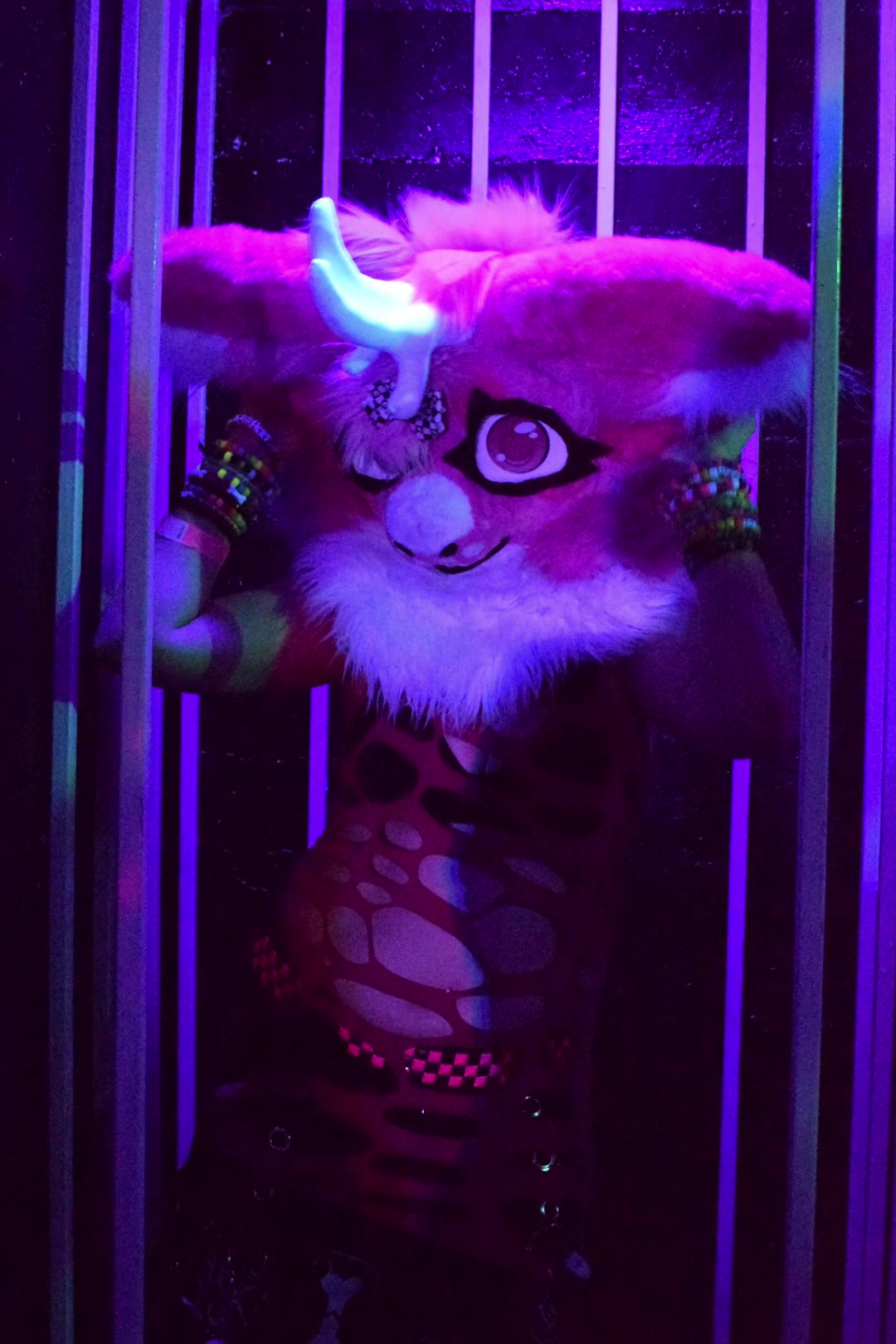 @Fenix🐾 🔜 FUREH2026