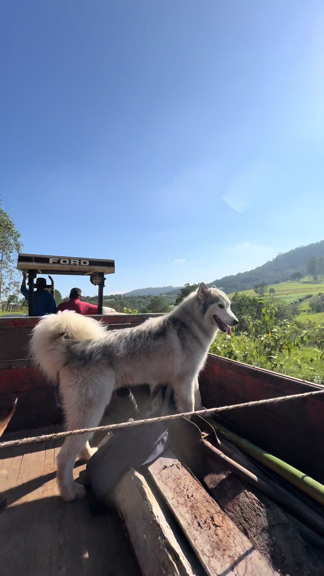 @Chorão