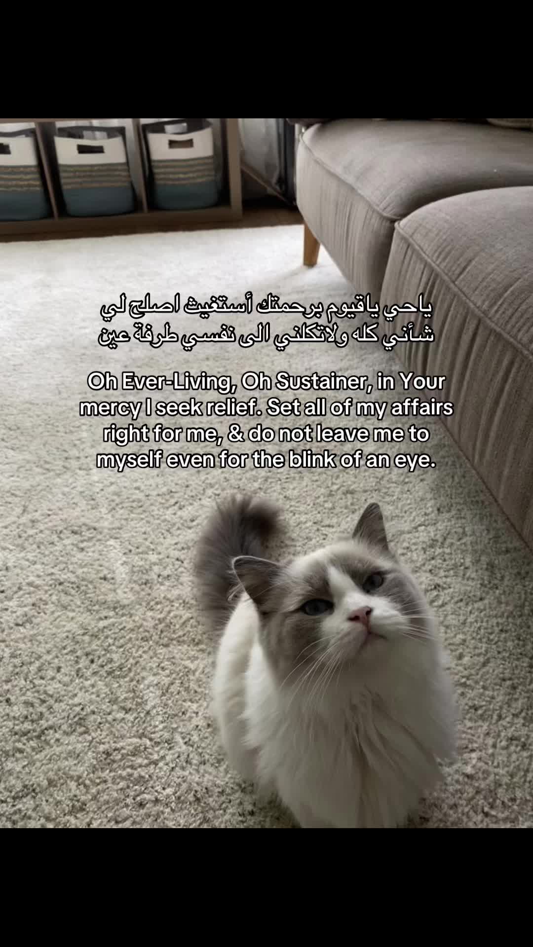 @فيها خير