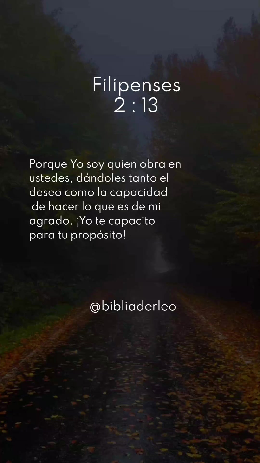 @Biblia Derleo