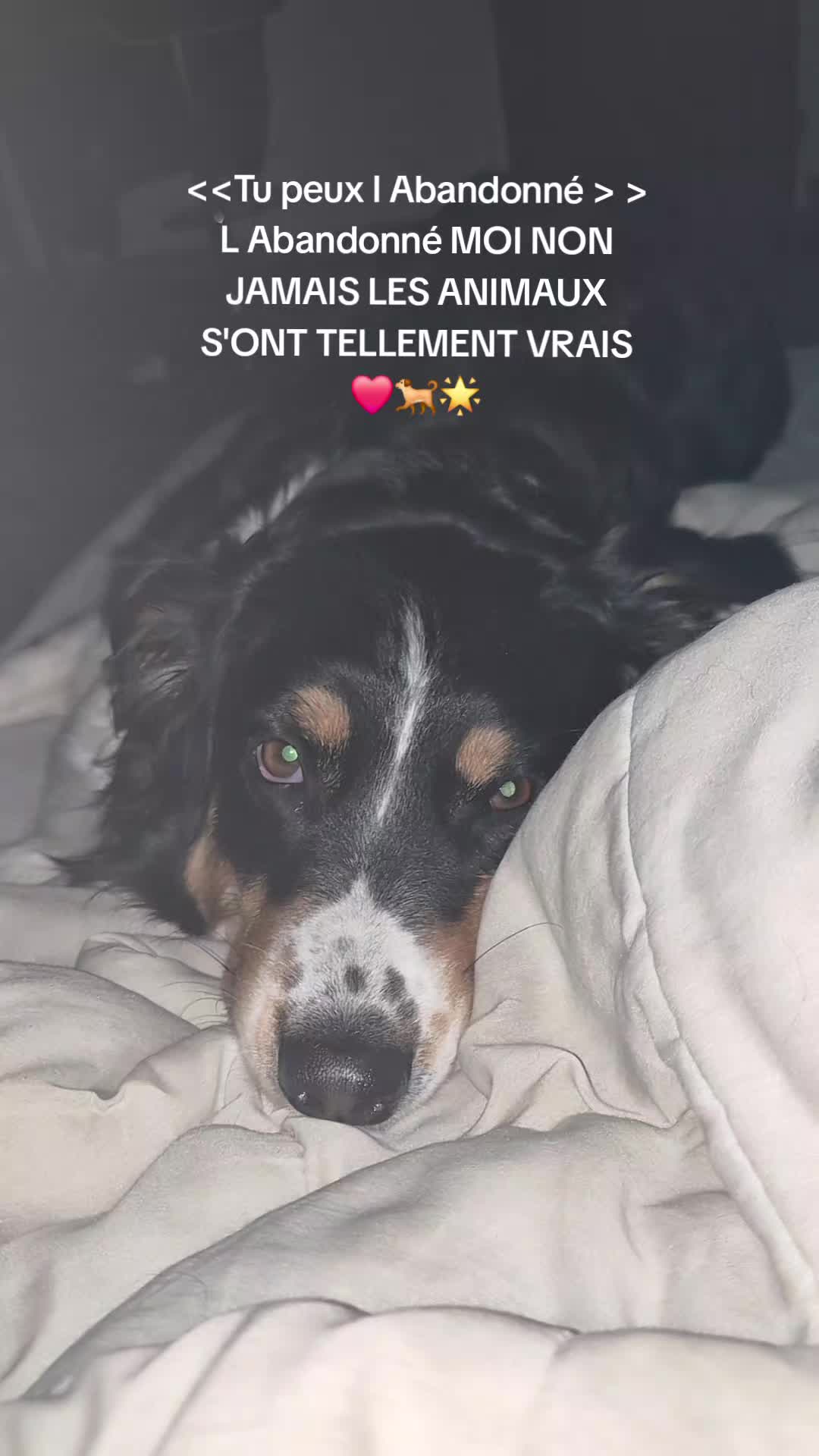 @justeManon🏳️&zwj;🌈